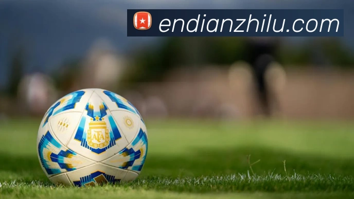 开云app服务体系